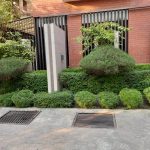 139708320_1497274290467063_8790585051029057172_n